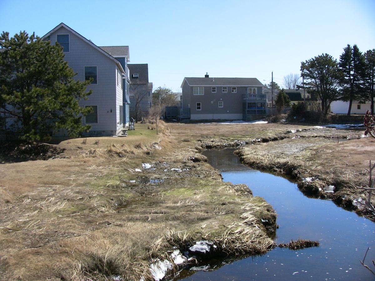 Late winter view of houses next to salt marsh with water-filled tidal creek