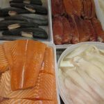 four different fish in refrigerator case at Jess's market
