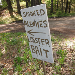 sign reading 'smoked alewives lobster bait'