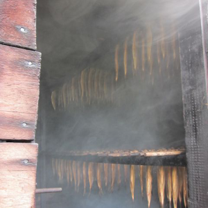 alewives in the smoker