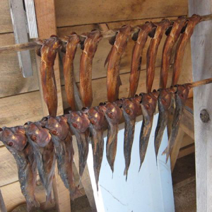 smoked alewives hanging