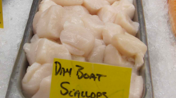 shelled scallops with a placard reading Day Boat Scallops