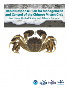 thm_mitten-crab.png