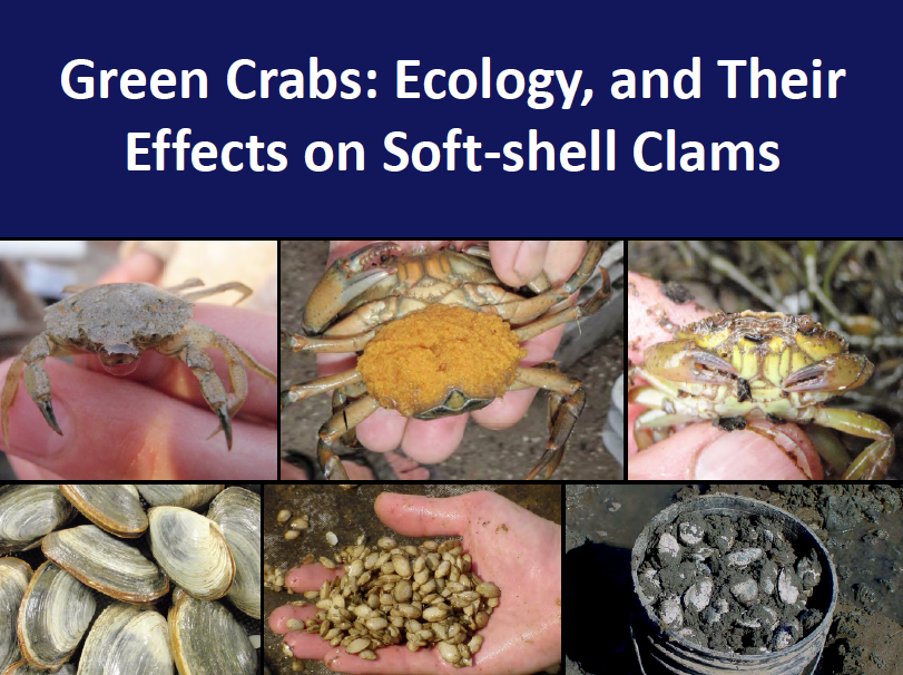 Brian Beal presentation