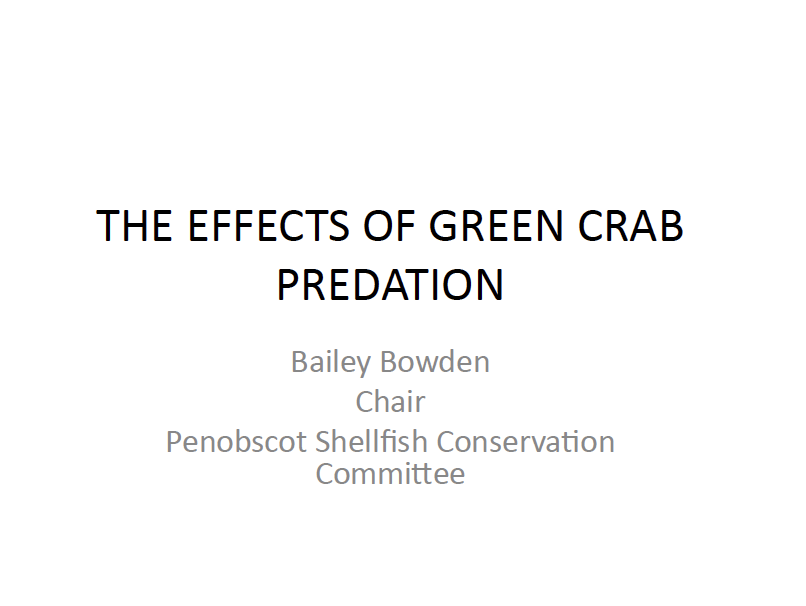 Bailey Bowden presentation