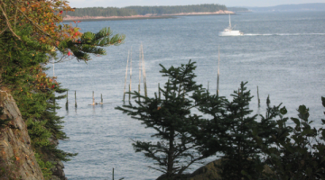 Weir near Campobello