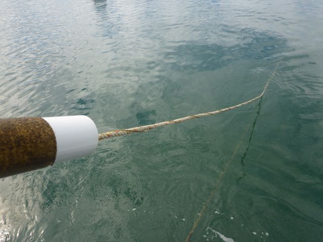 a rope going into the water with a spiral along its length