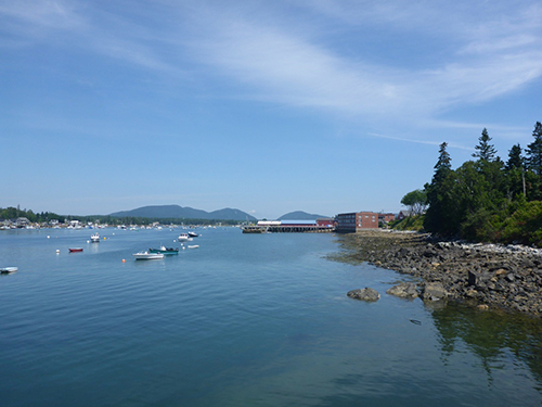 photo of water and shore with a few brick buildings