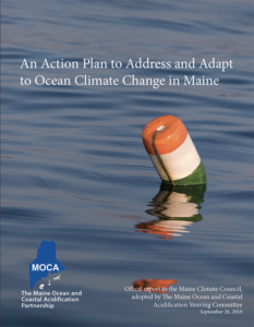 thumbnail coverr for the 2019 MOCA action plan