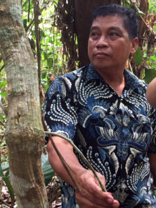 A man in a blue shirt among rainforest vegetation