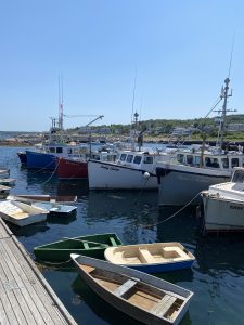 Lobster boats in a harbor tied to the dock