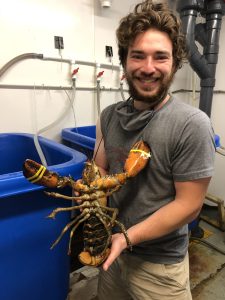 Student holding a lobster in front of a tank