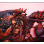 close up of a lobster's head