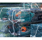 stacked lobster traps