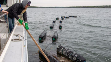 Woman on a boat moving black floating barrels with a wooden stick.