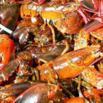 many lobsters with banded claws