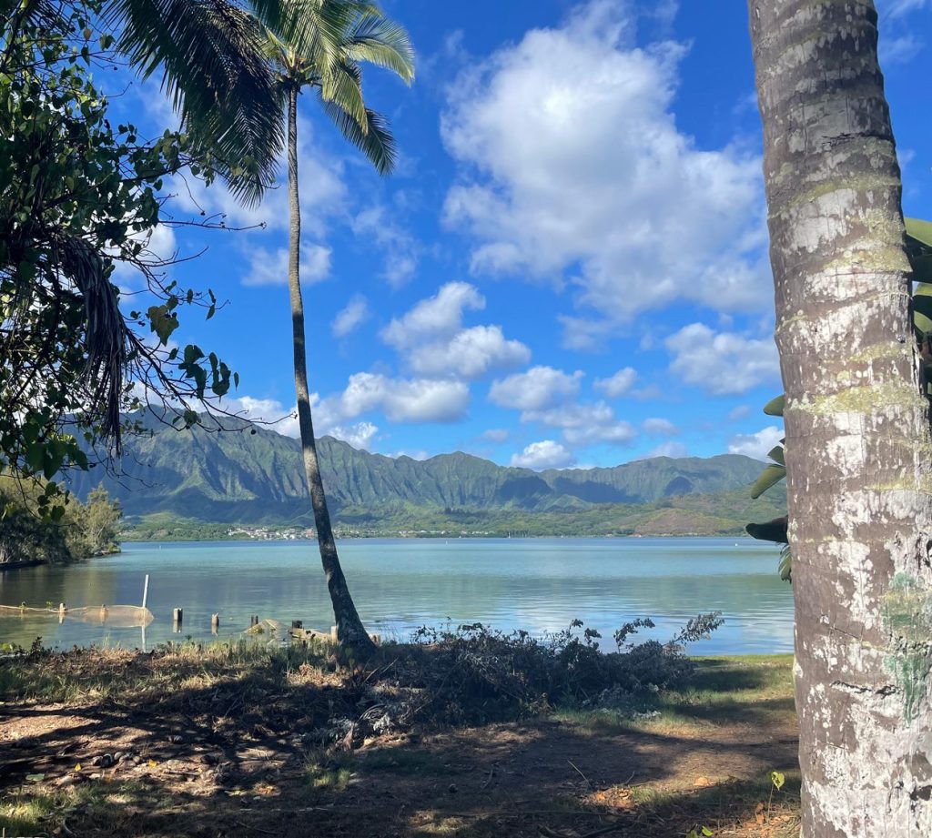 View from Coconut Island, Hawai’i Institute for Marine Biology