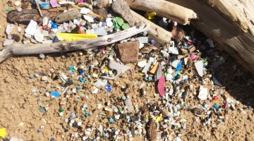 Small multicolored bits of plastic on the sand near natural driftwood