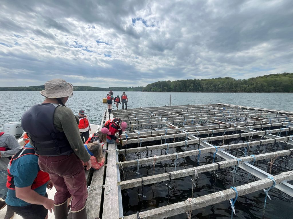 Several people in lifejackets look over the edges of a wooden raft floating on the water.