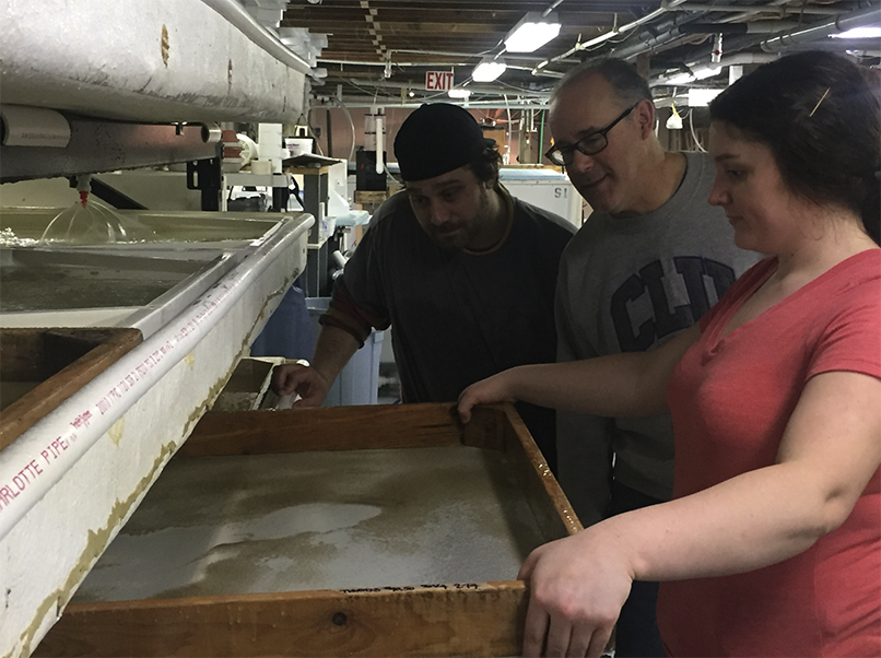Three people in a lab look at a wooden frame with a screen on its bottom. Water and baby oysters line the screen.
