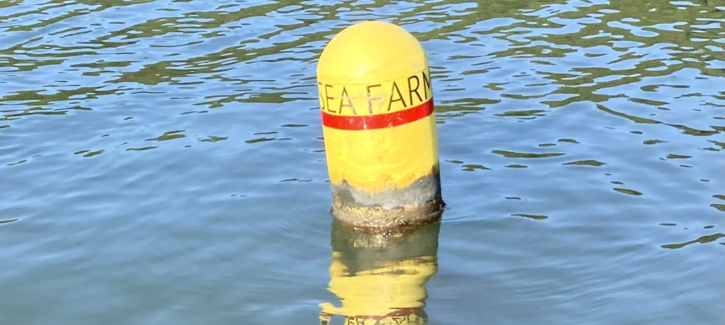 A yellow buoy with the words sea farm written on it bobs in the water