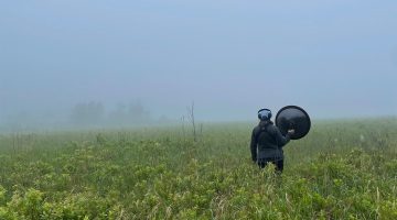 A figure standing in a field of vegetation with a round listening device looking into the blue fog