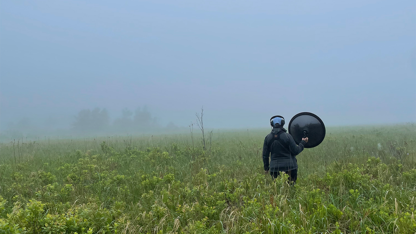featured image for Coastal Conversations Radio Program: Bird Songs, Part One