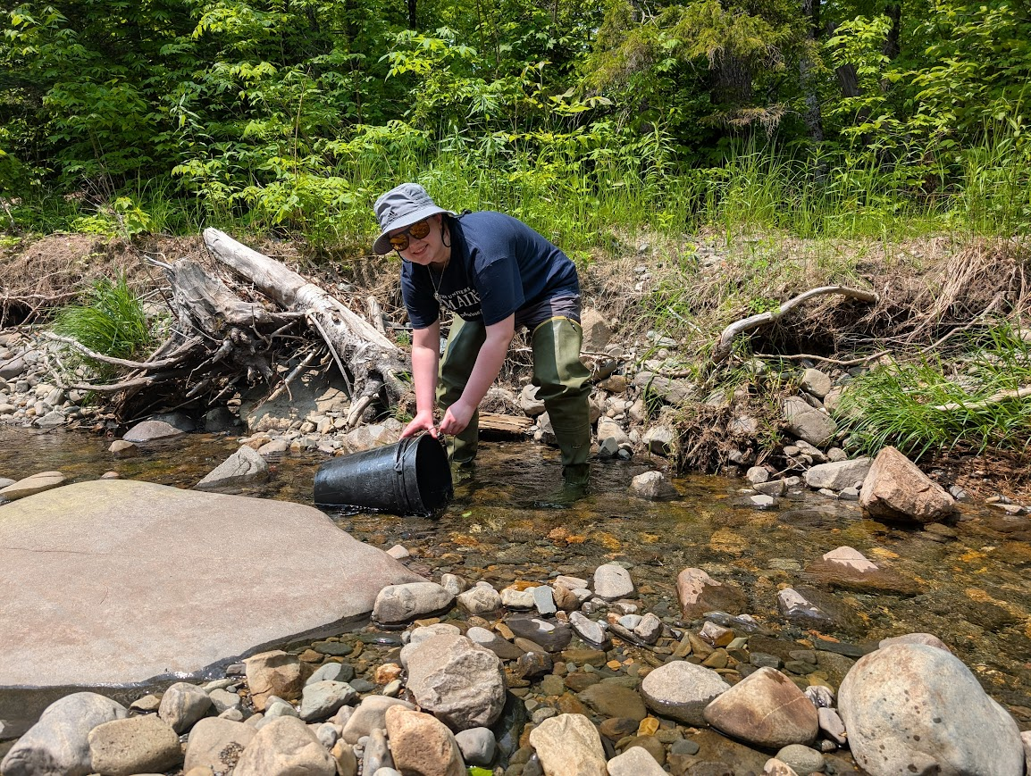 an intern with a bucket standing in shallow water among rocks, with greenery behind